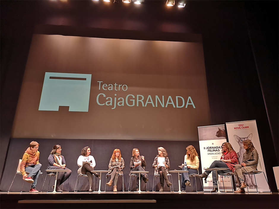 Teilnehmer der Andalusische Katzenkonferenz 2019