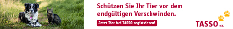 TASSO-Banner