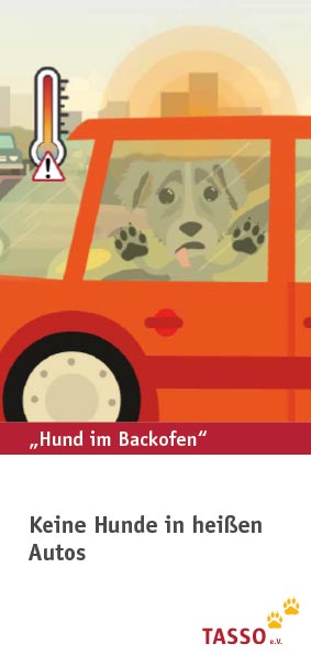 „Hund im Backofen“ Flyer