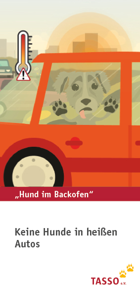 „Hund im Backofen“ Flyer