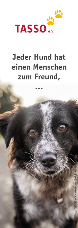 Lesezeichen Hund