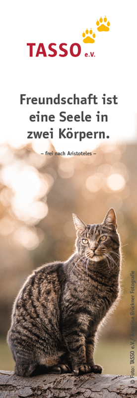 Lesezeichen Katze