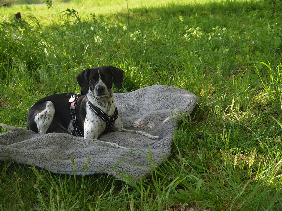 Abkühlung im Sommer