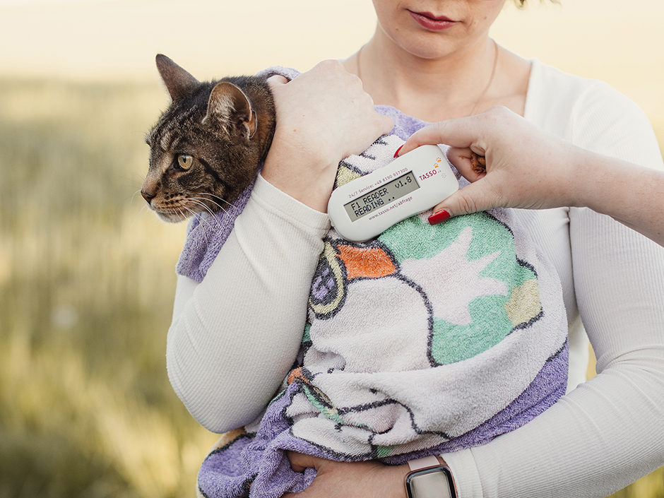 Der Transponder einer Katze wird mit einem Lesegerät ausgelesen