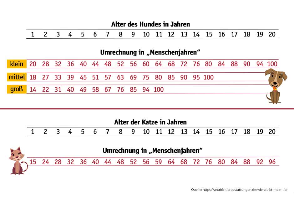 Eine Alterstabelle von Hunden und Katzen.