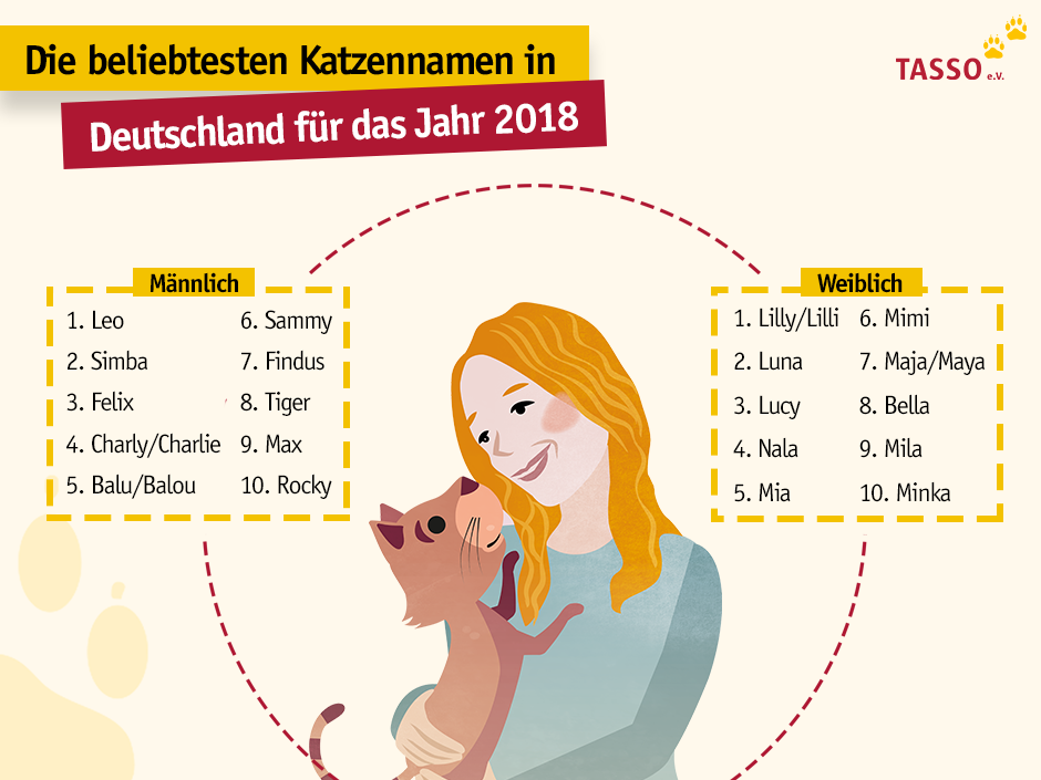 Take Advantage Of bestes katzenfutter für kitten - Read These 10 Tips