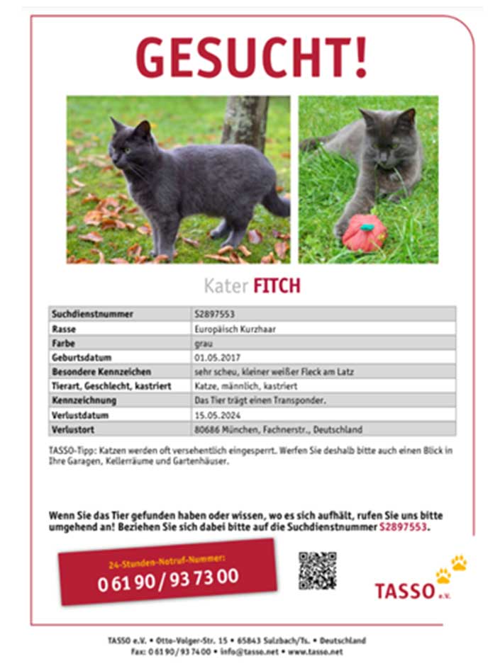 TASSO-Suchplakat von Kater Fitch.